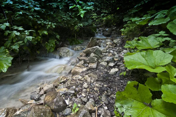 Agua corriente, Dolomitas —  Fotos de Stock