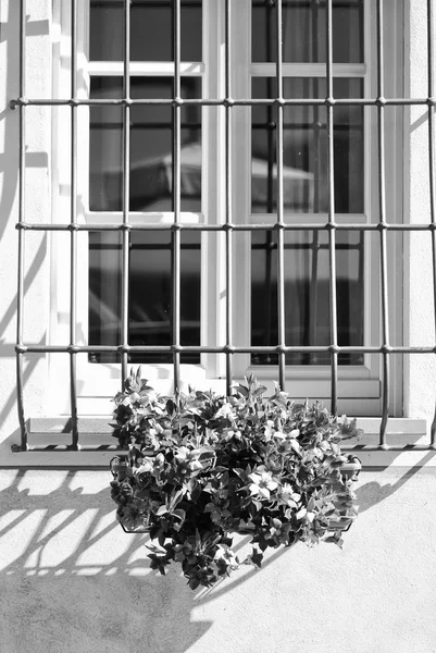 Flores en la ventana, Toscana — Foto de Stock