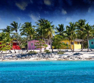 Beautiful beach of caribbean island with brilliant red, pink and clipart