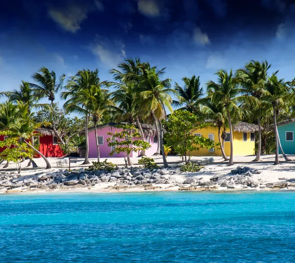 Beautiful beach of caribbean island with brilliant red, pink and — Stock Photo, Image