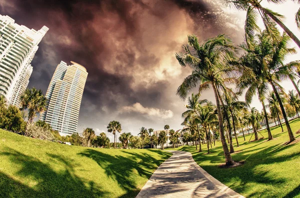 Paseo en el hermoso parque South Pointe en Miami Beach, EE.UU. — Foto de Stock