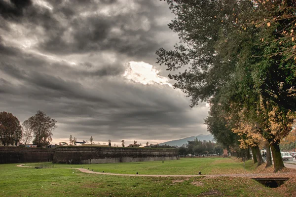 Gamla herrgård med trädgård i lucca — Stockfoto