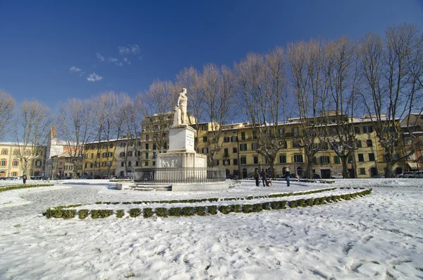 Pisa po burzy śnieżnej — Zdjęcie stockowe