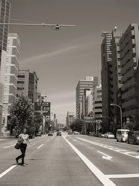 東京・黒・白の建築物の詳細 — ストック写真