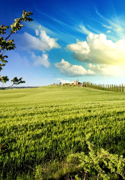 Die Wiesen der Toskana im Frühling — Stockfoto