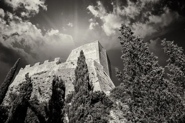 Antico castello medievale con vegetazione e cielo — Foto Stock