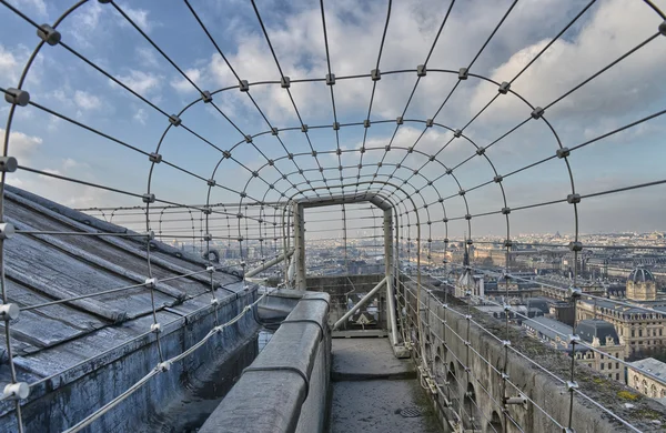 パリのノートルダム寺院トップ テラス フェンス — ストック写真