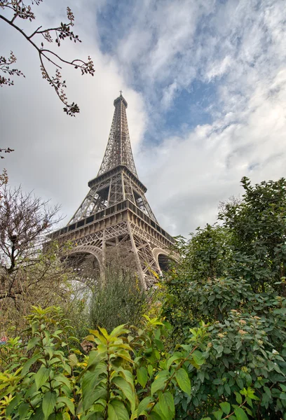 Paris. Eiffel Tower with vegetation and trees on a winter mornin — Stock Photo, Image