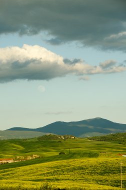 İtalya, Toskana 'daki Chianti üzüm bağı manzarası