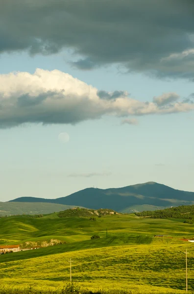 İtalya, Toskana 'daki Chianti üzüm bağı manzarası