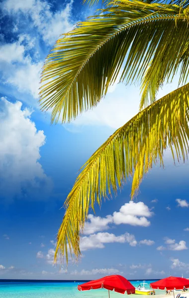 Καραϊβικής παραλία με φοίνικες και κόκκινη ομπρέλα — Φωτογραφία Αρχείου