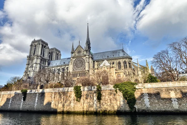 Paříž. krásný výhled na katedrále notre dame — Stock fotografie