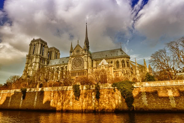 Paris. notre dame Katedrali Notre Dame güzel görünümü — Stok fotoğraf