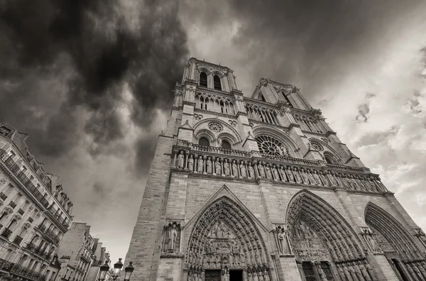 Paris. vacker utsikt över notre dame-katedralen — Stockfoto