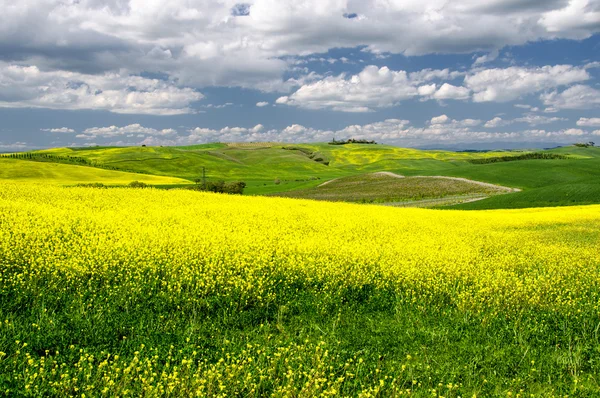 Vue panoramique du paysage typique du printemps toscan — Photo