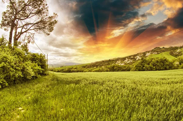 Frühlingsfarben der Toskana - Wiesen und Hügel — Stockfoto