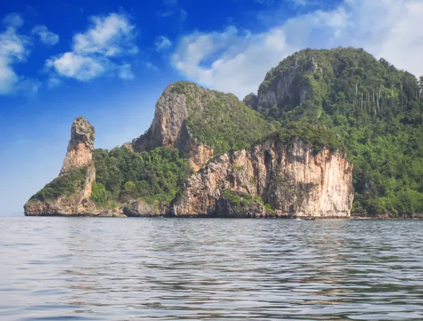 Tayland. güzel doğa ve bitki örtüsü, tavuk Adası