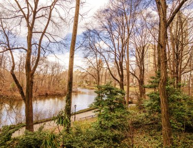 New york city - kışın güzel bitki örtüsü-central Park