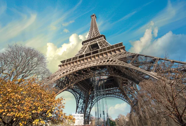 Underbara street Visa av Eiffeltornet och vintern vegetation - pa — Stockfoto