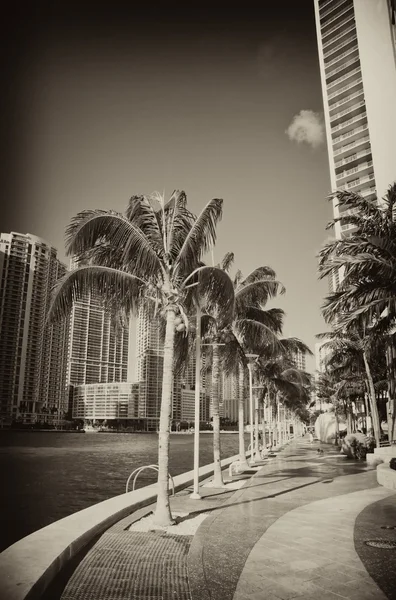 Costa de Miami beach, florida — Stockfoto