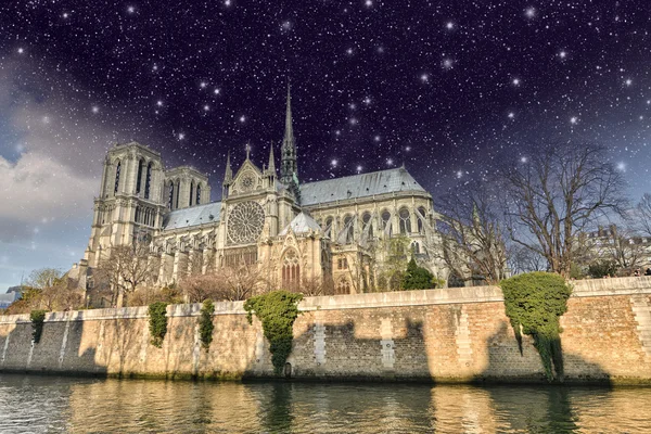 Parigi. Bella vista notturna della Cattedrale di Notre Dame e della Senna Ri — Foto Stock