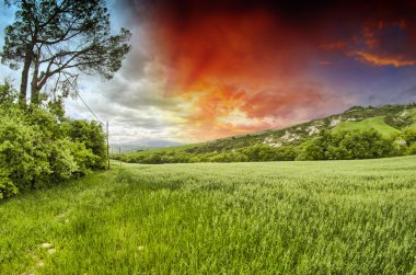 Bahar renkleri Toskana - çayır ve gün batımında hills