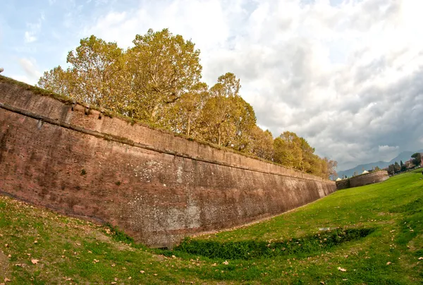 Murów miasta lucca, Włochy — Zdjęcie stockowe