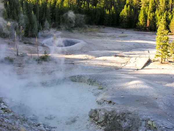 Yellowstone гейзер — стокове фото