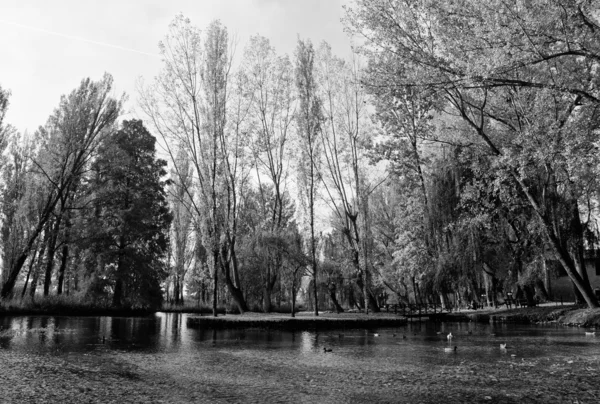 ウンブリア州のフォンティ ・ デル ・ クリトゥンノの黒と白のビュー — ストック写真