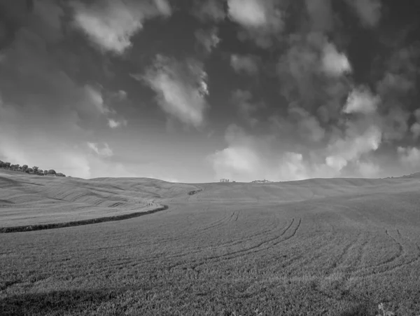 Toscaanse weilanden in het voorjaar. prachtige zonsondergang kleuren, Italië — Stockfoto