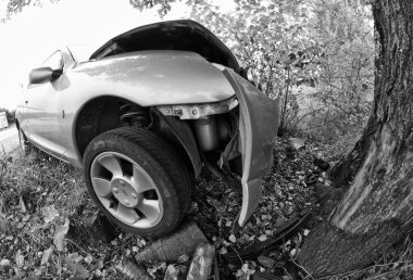 Araba karşı bir ağaç, İtalya