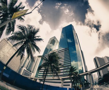 miami yollar kışın balıkgözü görünümü