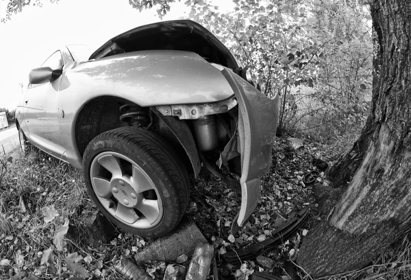 Auto o strom, Itálie — Stock fotografie