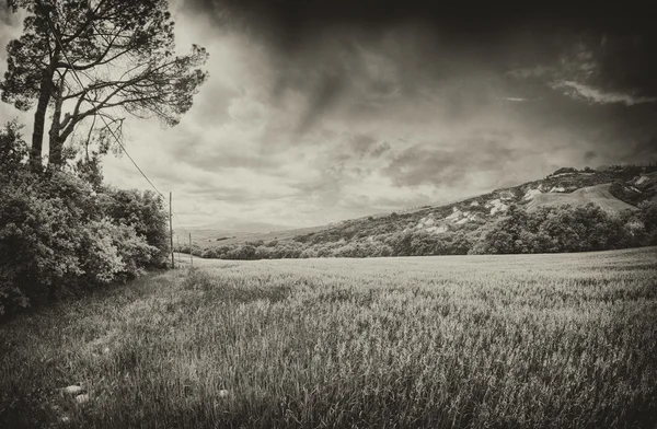 Lente kleuren van Toscane - weiden en heuvels — Stockfoto