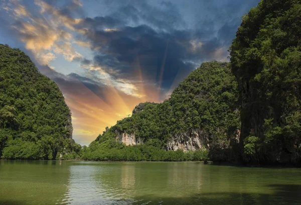 La végétation des îles thaïlandaises — Photo