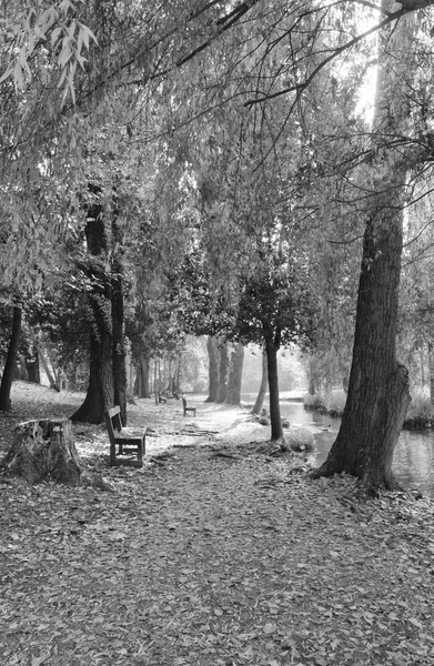 Widok czarno-biały z wygodami w Umbrii — Zdjęcie stockowe