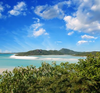 Queensland, Avustralya. coral reef ve harika renkler
