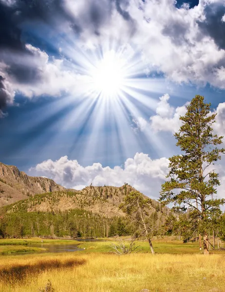 Vackra berglandskap med ängar och träd — Stockfoto