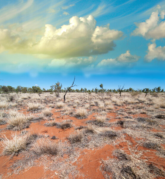 Australia, Outback landscape.