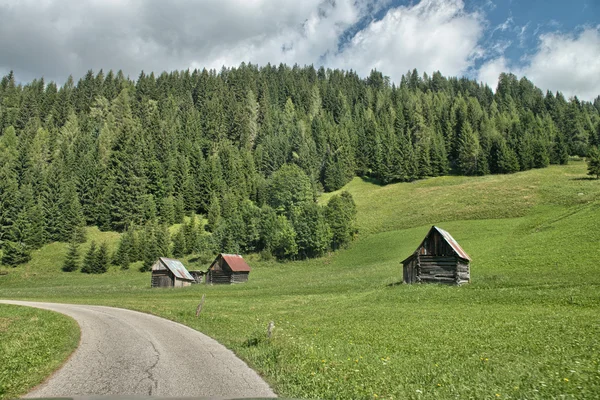 Bergen in de zomer. Dolomieten, Italië. — Stockfoto