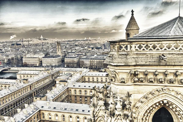 Beautiful aerial view of Paris in winter — Stock Photo, Image