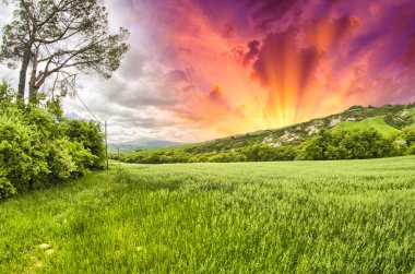 Bahar renkleri Toskana - çayır ve gün batımında hills