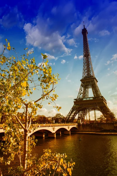 Schöne Farben und Vegetation in der Nähe des Eiffelturms — Stockfoto