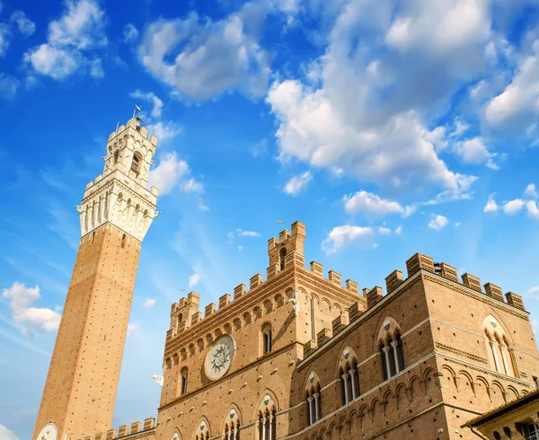 Siena, İtalya. güzel manzara piazza del Campo — Stok fotoğraf