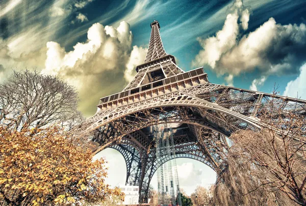 Wonderful street view of Eiffel Tower and Winter Vegetation - Paris — Stock Photo, Image