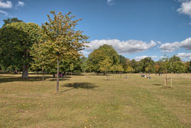 hyde Parkı üzerinde harika gökyüzü güzel bitki - Londra