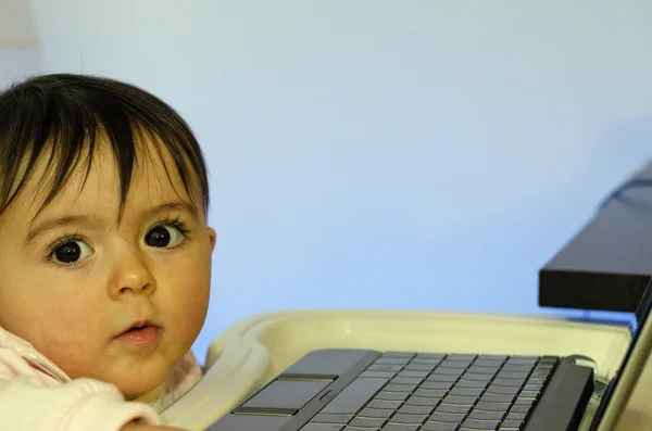 1 年間彼女の netbook を使用しようとすると、女を赤ちゃん — ストック写真