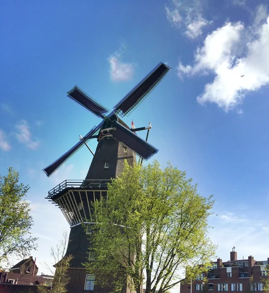 Amsterdam wiatrak — Zdjęcie stockowe