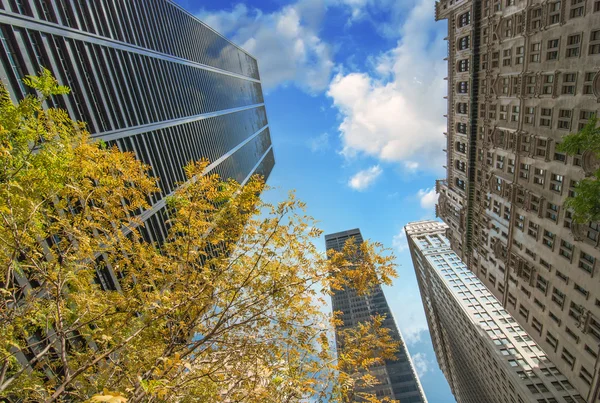 New york city. uppåtgående utsikt över manhattan byggnader med träd — Stockfoto
