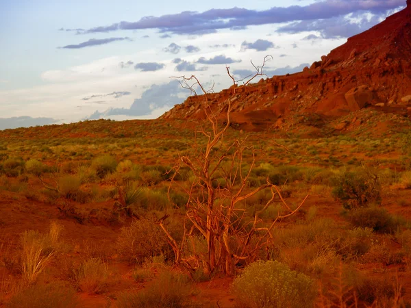 Summer in the Monument Valley — Stock Photo, Image